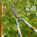 Professional Tree Service In Louisville: A Must For Flipping Houses Success