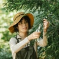 Tree Services: A Vital Component Of House Flipping Success In Bethany, OK