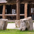 Why Stump Grinding Should Be Part Of Your Flipping Houses Checklist In Damascus, OR
