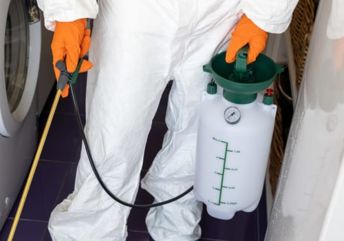 Why Is Pest Fumigation Important In A House Flipping Project In Beaver Falls, PA?