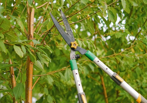 Professional Tree Service In Louisville: A Must For Flipping Houses Success