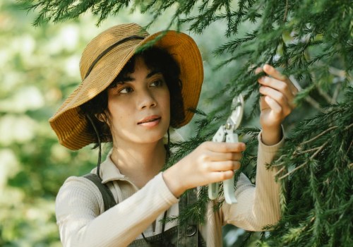 Tree Services: A Vital Component Of House Flipping Success In Bethany, OK