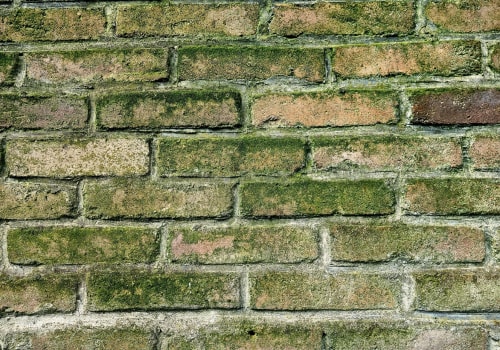 Mold Remediation: Essential for Flipping Houses in Utah